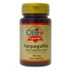 HARPAGOFITO 500 MG. (EXT. SECO) 100 COM.