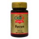 FUCUS 500 MG. 60 CÁPSULAS