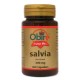 SALVIA 300 MG. 60 CÁPSULAS