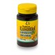 GINKGO BILOBA 500 MG. 60 COMPRIMIDOS