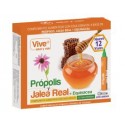 Propolis y Jalea Real+ Equinacea Vive